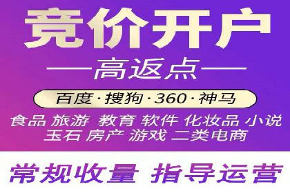 行业领先企业的百度广告推广经验分享