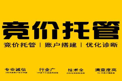 百度网络推广实战技巧：案例解析，让广告投放更精准